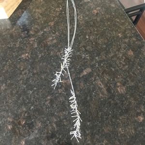 Steve Madden Women's Long Silver Tassel Necklace